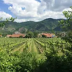 Apartment Winzerhaus Rossatz
