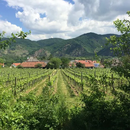 아파트 Winzerhaus Rossatz