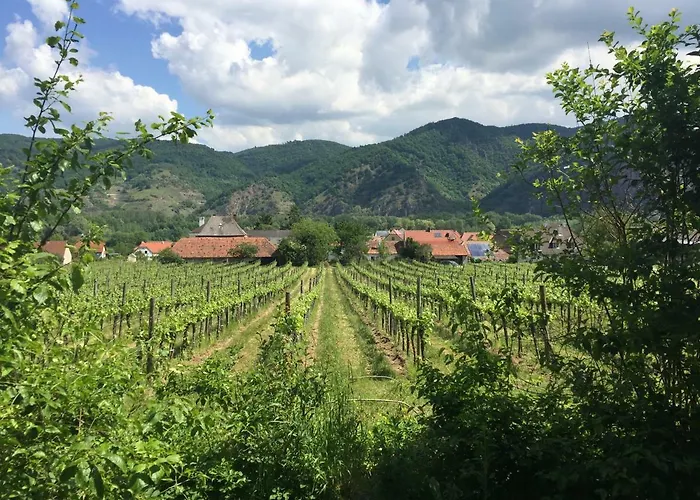 Lägenhet Winzerhaus Rossatz
